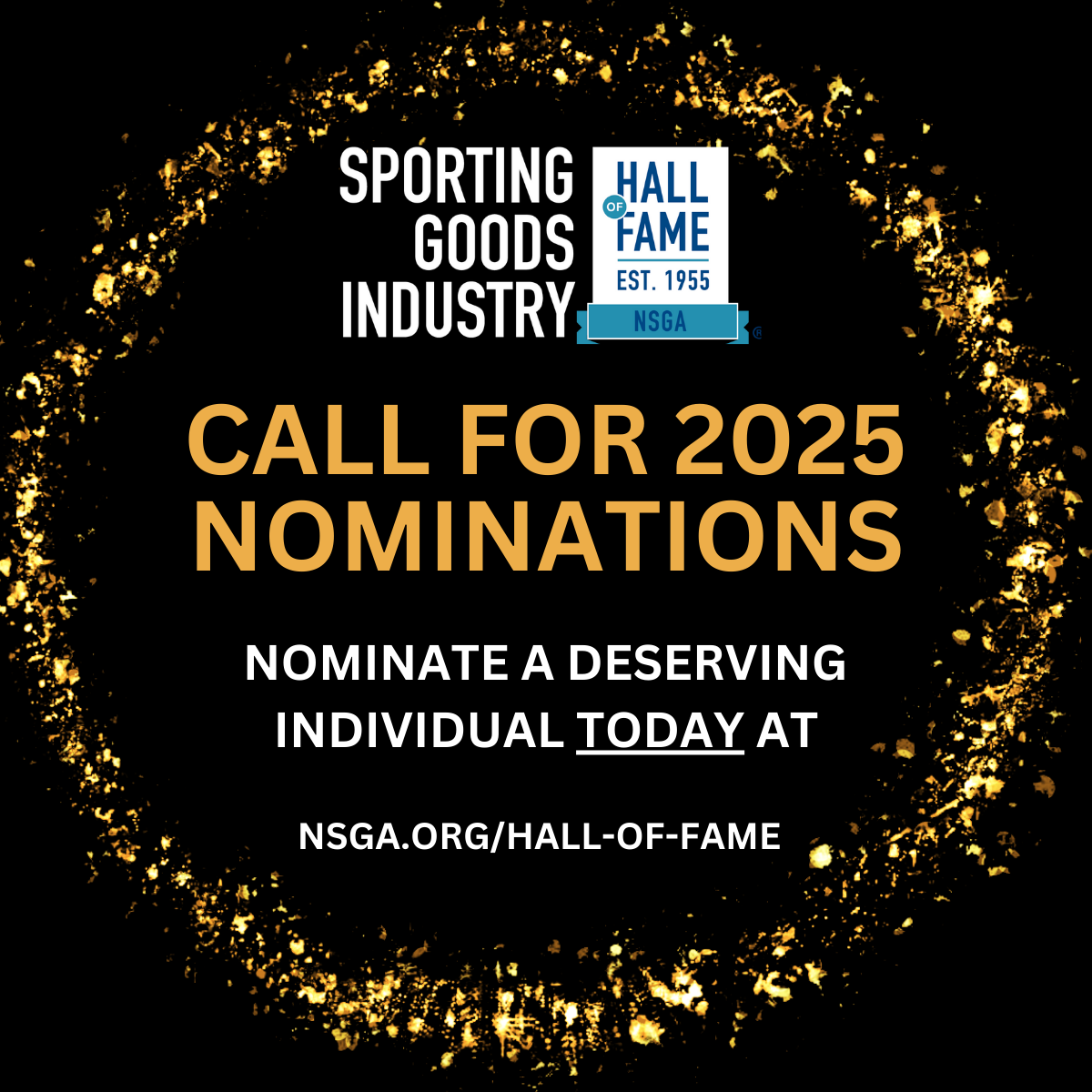 Hall of Fame Nomination Form National Sporting Goods Association